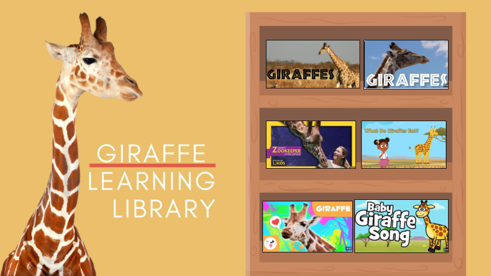 Giraffe Learning Library