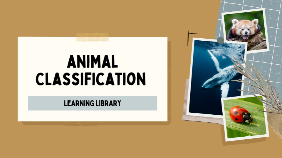 Animal Classifications Learning Library