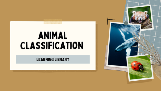 Animal Classifications Learning Library