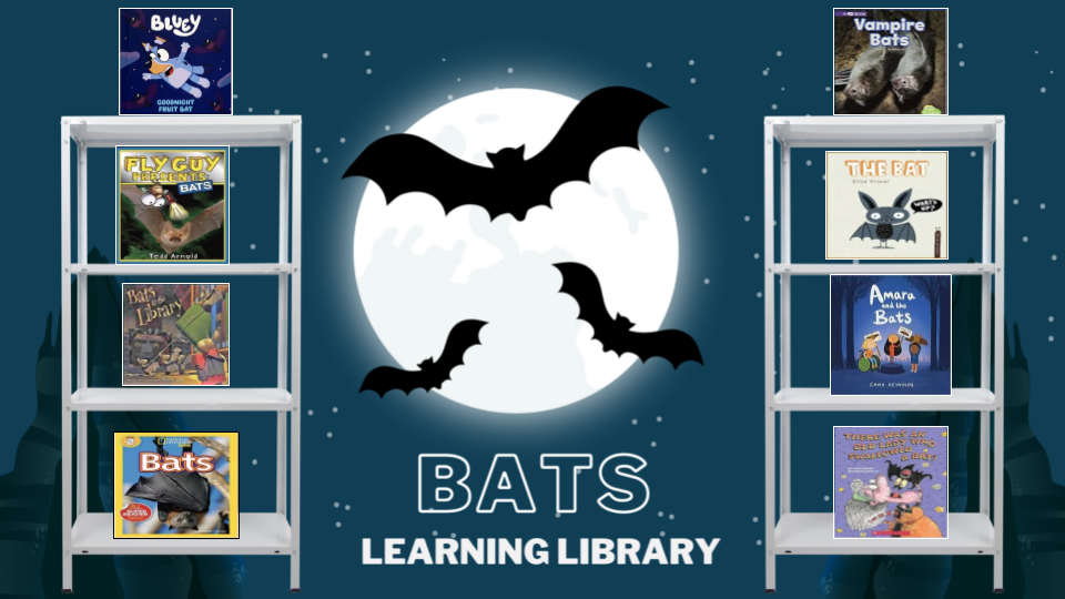 Bats Learning Library