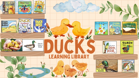 Ducks Learning Library
