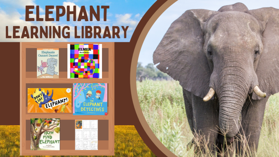 Big 5 Learning Library - Elephant