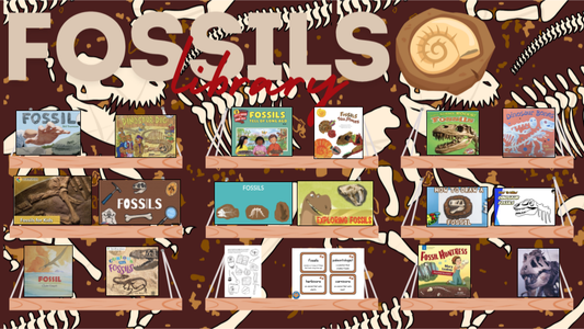 Fossils Learning Library