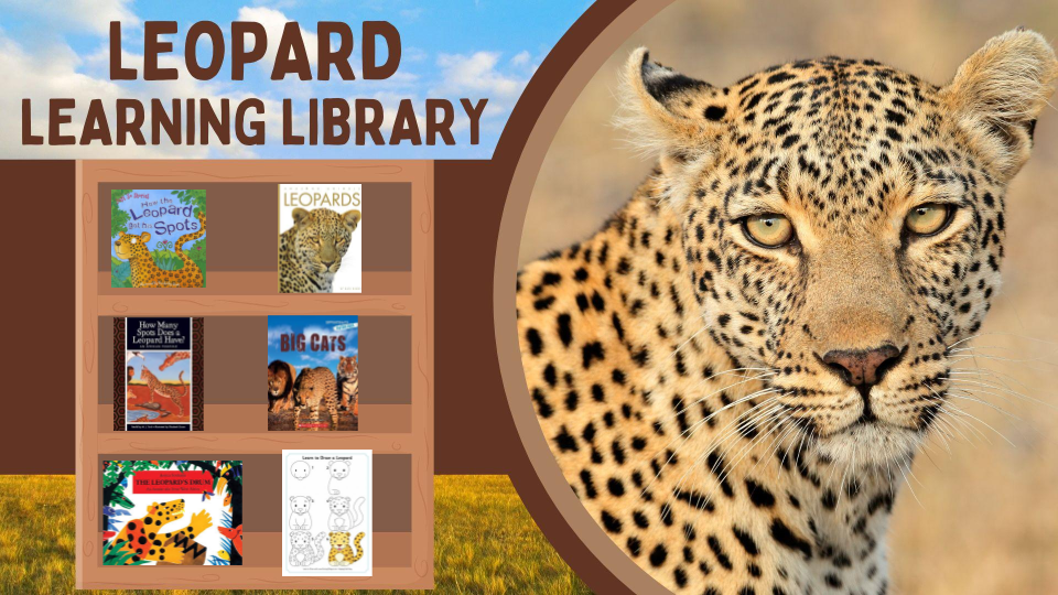 Big 5 Learning Library - Leopard