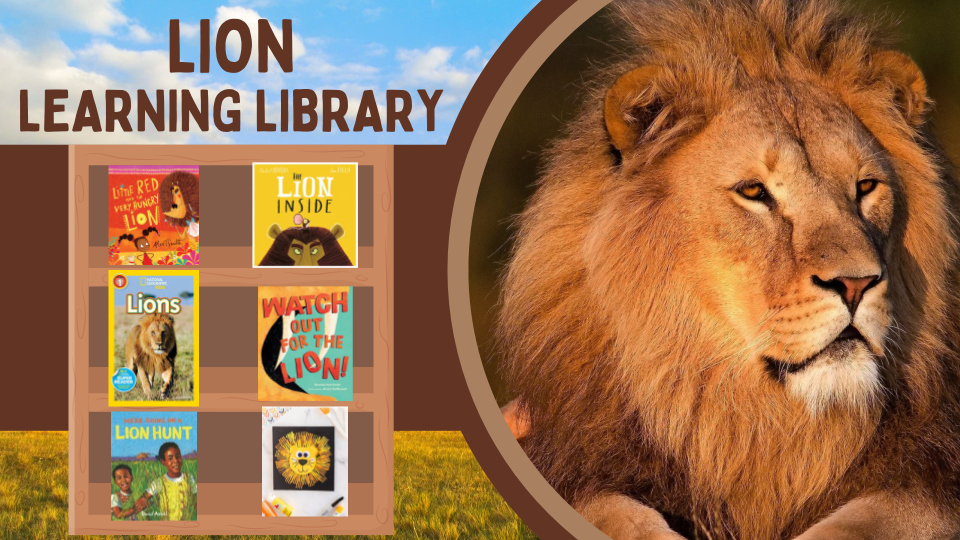 Big 5 Learning Library - Lion