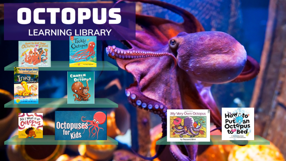 Octopus Learning Library