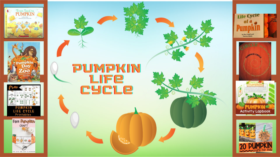 Pumpkin Life Cycle Learning Library