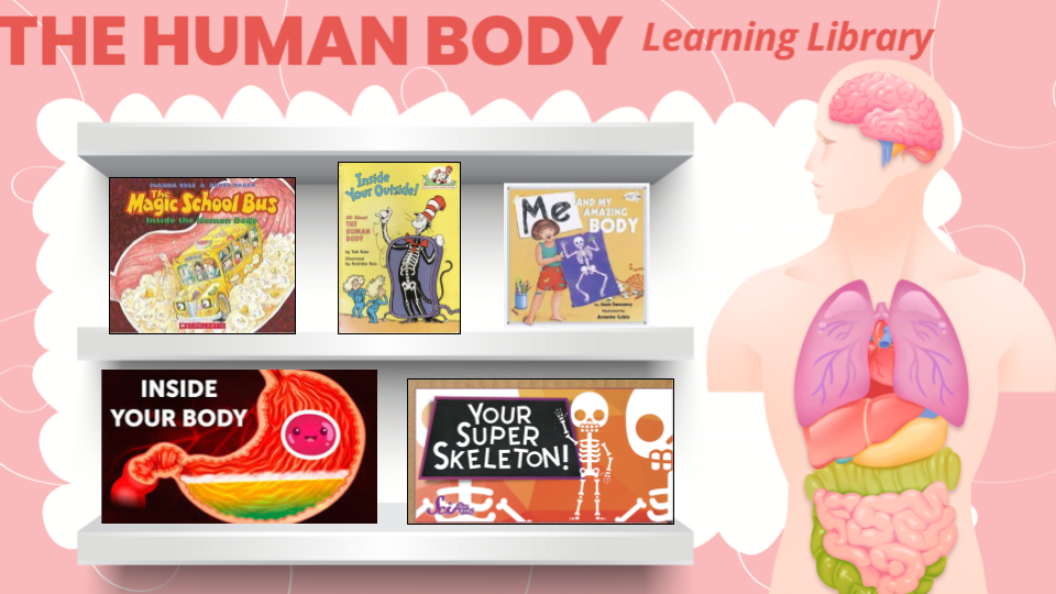 Human Body Learning Library