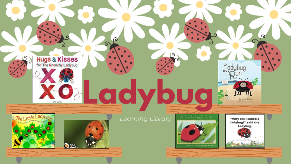 Ladybug Learning Library