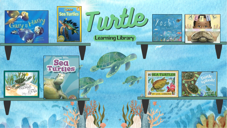 Turtle Learning Library